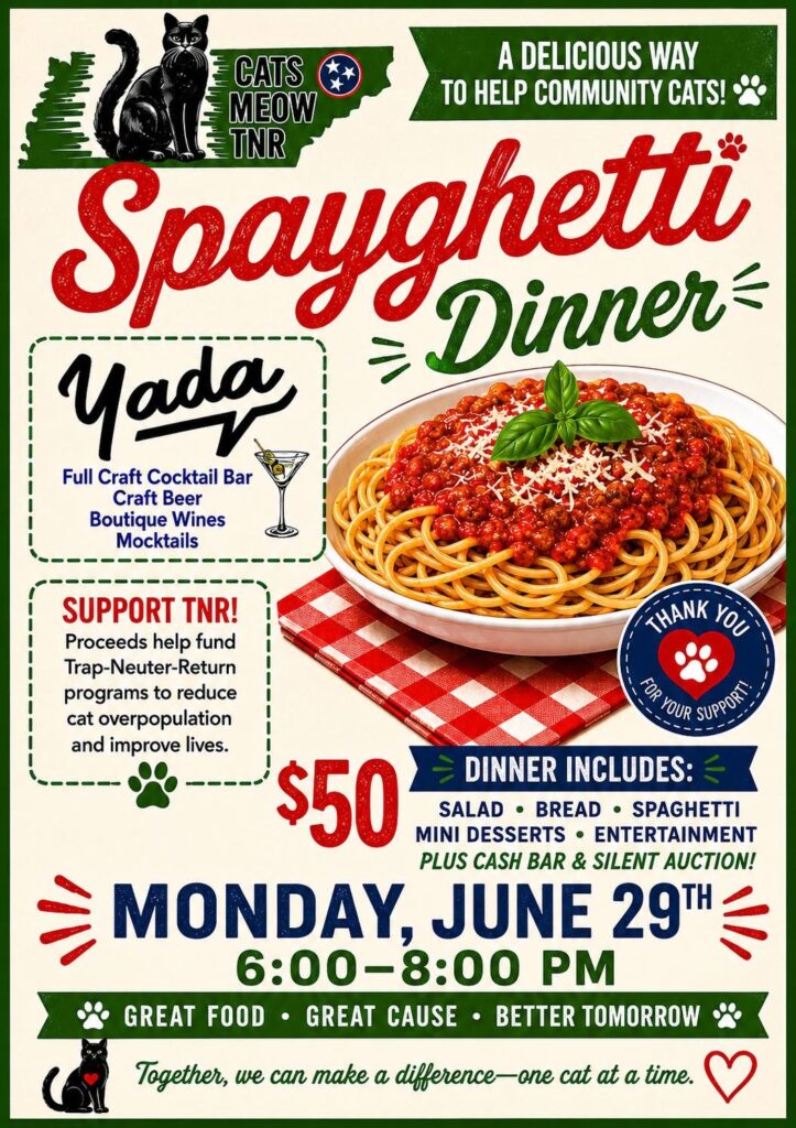 Our Spay-ghetti Dinner Fundraiser at Yada on Franklin is serving up purrs, pasta, and a paw-sitive purpose — raising funds for community cat spay & neuter programs.