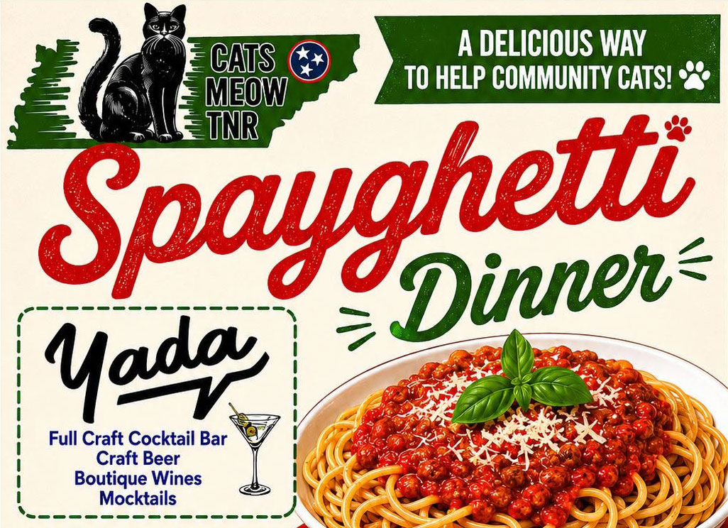 Spayghetti Dinner Fundraiser